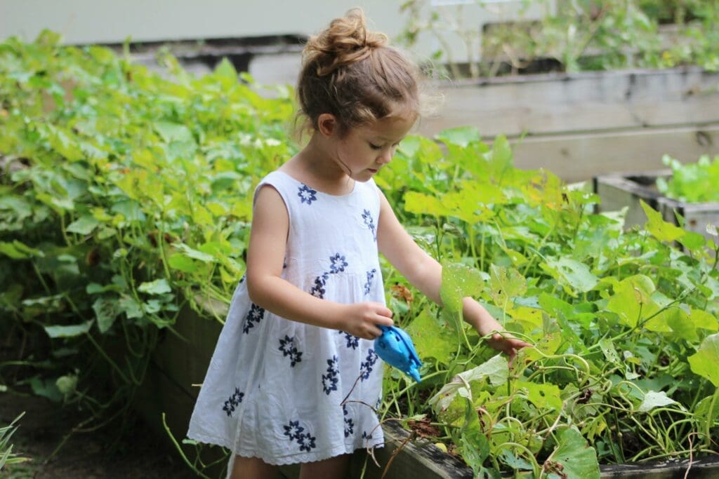 Young girl gardening in Columbus, Ohio.